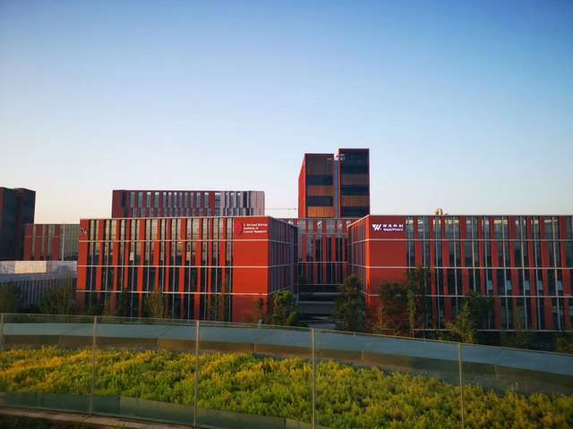 广东吊臂吊索具价格优惠